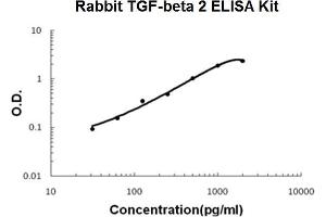 Rabbit TGF-beta 2 PicoKine ELISA Kit standard curve (TGFB2 ELISA 试剂盒)