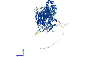 Protein Structure (PS) image for Kelch-Like 6 (KLHL6) (AA 1-621) protein (His tag) (ABIN7548748)