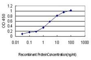 Detection limit for recombinant GST tagged CDKL5 is approximately 0. (CDKL5 抗体  (AA 722-831))