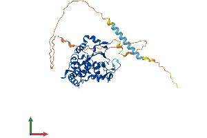 AlphaFold protein structure predicition of Human Recombinant HS3ST3A1 Protein, UniprotID Q9Y663