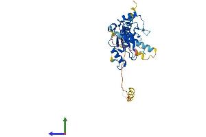 Protein Structure (PS) image for Ubiquitin-Conjugating Enzyme E2, J1, U (UBE2J1) (AA 1-318) protein (His tag) (ABIN7561617)