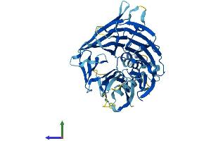 AlphaFold protein structure predicition of Human Recombinant FBXW12 Protein, UniprotID Q6X9E4