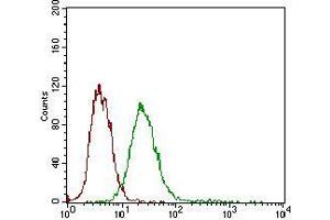 Flow Cytometry (FACS) image for anti-Desmoglein 3 (DSG3) (AA 55-159) antibody (ABIN2682987)