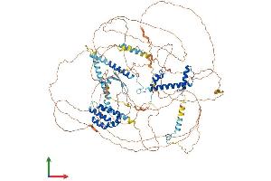 Protein Structure (PS) image for TAF4 RNA Polymerase II, TATA Box Binding Protein (TBP)-Associated Factor, 135kDa (TAF4) (AA 1-1085) protein (His tag) (ABIN7555696)