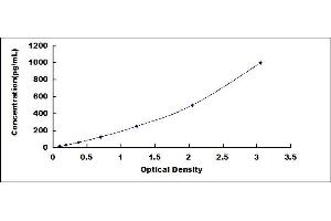 Typical standard curve