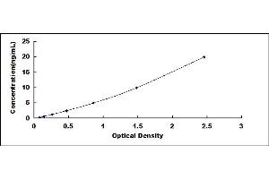 Typical standard curve (DDAH2 ELISA 试剂盒)