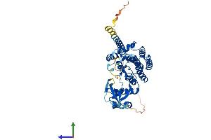 AlphaFold protein structure predicition of Human Recombinant STYK1 Protein, UniprotID Q6J9G0