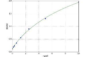 A typical standard curve
