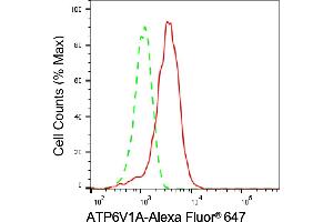 Flow cytometric analysis of ATP6V1A expression in HepG2 cells using ATP6V1A antibody (ABIN7797699), 1:2,000).