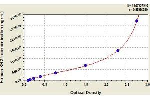 Kininogen 1 (KNG1) ELISA Kit
