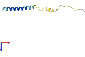AlphaFold protein structure predicition of Mouse Recombinant Hilpda Protein, UniprotID Q9JLS0