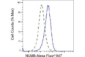 Validation of NUMB knockdown using flow cytometry. (Recombinant NUMB 抗体)