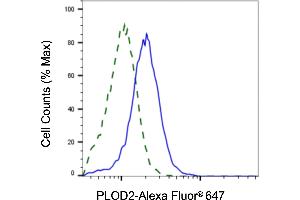 Validation of PLOD2 knockdown using flow cytometry. (PLOD2 抗体)