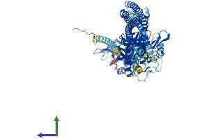 Protein Structure (PS) image for TANK-Binding Kinase 1 (TBK1) (AA 1-729) protein (His tag) (ABIN7565222)