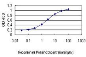 Detection limit for recombinant GST tagged POU3F2 is approximately 0. (POU3F2 抗体  (AA 1-67))