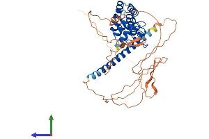 Protein Structure (PS) image for GA-Binding Protein Subunit beta-2 (GABPB2) (AA 1-448) protein (His tag) (ABIN7547795)