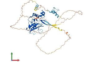 AlphaFold protein structure predicition of Mouse Recombinant Socs4 Protein, UniprotID Q91ZA6 (SOCS4 Protein (AA 1-436) (His tag))