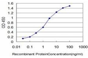 Detection limit for recombinant GST tagged HOXB7 is approximately 0. (HOXB7 抗体  (AA 55-120))