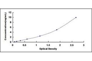 ELISA image for Superoxide Dismutases ELISA Kit (ABIN4948048)