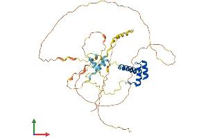 AlphaFold protein structure predicition of Human Recombinant EN1 Protein, UniprotID Q05925
