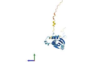 Protein Structure (PS) image for Phosducin-Like 3 (PDCL3) (AA 1-240) protein (His tag) (ABIN7558921)