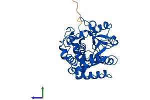 Protein Structure (PS) image for Sulfotransferase Family, Cytosolic, 1A, Phenol-Preferring, Member 3 (SULT1A3) (AA 1-295) protein (His tag) (ABIN7546364)