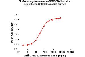 ELISA image for G Protein-Coupled Receptor, Family C, Group 5, Member D (GPRC5D) protein (ABIN7491673)