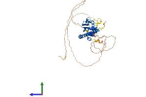 Protein Structure (PS) image for TSPY-Like 5 (TSPYL5) (AA 1-417) protein (His tag) (ABIN7544814)