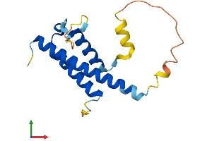 Protein Structure (PS) image for Thyroid Hormone Responsive (THRSP) (AA 1-150) protein (His tag) (ABIN7557774)