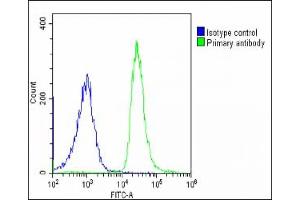 Overlay histogram showing U-2 OS cells stained with (ABIN6242869 and ABIN6578890)(green line).