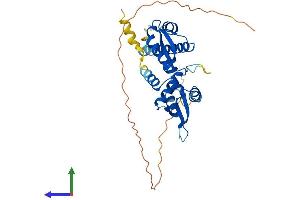 Protein Structure (PS) image for Melanoma Antigen Family A, 8 (MAGEA8) (AA 1-318) protein (His tag) (ABIN7549175)