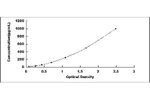 Typical standard curve (Fibulin 5 ELISA 试剂盒)