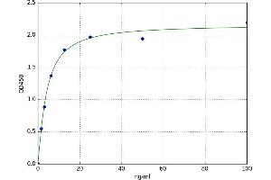 A typical standard curve (Hemoglobin Subunit beta ELISA 试剂盒)