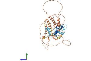Protein Structure (PS) image for Zinc Finger and SCAN Domain Containing 4 (ZSCAN4) (AA 1-433) protein (His tag) (ABIN7545374)