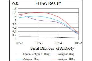 Red: Control Antigen (100ng) ; Purple: Antigen (10ng) ; Green: Antigen (50ng) ; Blue: Antigen (100ng). (HAS3 抗体)