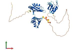 AlphaFold protein structure predicition of Mouse Recombinant Elavl2 Protein, UniprotID Q60899