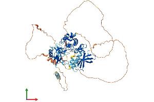 Protein Structure (PS) image for Mitogen-Activated Protein Kinase Kinase Kinase 2 (MAP3K2) (AA 1-619) protein (His tag) (ABIN7549266)