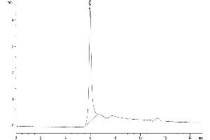 Size-exclusion chromatography-High Pressure Liquid Chromatography (SEC-HPLC) image for Lymphocyte-Activation Gene 3 (LAG3) (AA 23-450) protein (Fc Tag) (ABIN7275114)