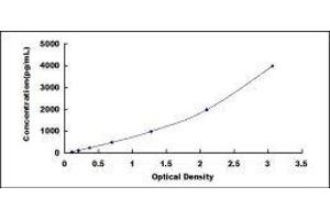 Typical standard curve (PROS1 ELISA 试剂盒)
