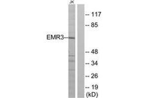 Western Blotting (WB) image for anti-Egf-Like Module Containing, Mucin-Like, Hormone Receptor-Like 3 (EMR3) (AA 603-652) antibody (ABIN2890770) (EMR3 抗体  (AA 603-652))