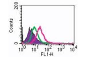 RANK Flow Cytometry Flow Cytometry of Mouse Anti-RANK antibody. (TNFRSF11A 抗体)