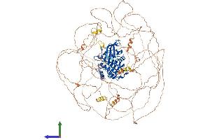Protein Structure (PS) image for tau Tubulin Kinase 2 (TTBK2) (AA 1-1244) protein (His tag) (ABIN7555880)