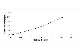 Typical standard curve (LTA4H ELISA 试剂盒)