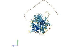 Protein Structure (PS) image for Minichromosome Maintenance Deficient 8 (MCM8) (AA 1-833) protein (His tag) (ABIN7564956)