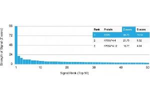 Analysis of Protein Array containing more than 19,000 full-length human proteins using Estrogen Receptor alpha Mouse Monoclonal Antibody (ESR1/1904) Z- and S- Score: The Z-score represents the strength of a signal that a monoclonal antibody (MAb) (in combination with a fluorescently-tagged anti-IgG secondary antibody) produces when binding to a particular protein on the HuProtTM array. (Estrogen Receptor alpha 抗体)