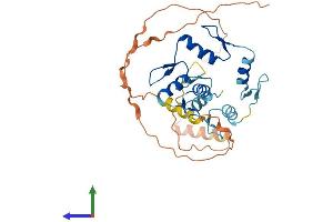 Protein Structure (PS) image for Growth Factor Independent 1B Transcription Repressor (GFI1B) (AA 1-330) protein (His tag) (ABIN7562521)
