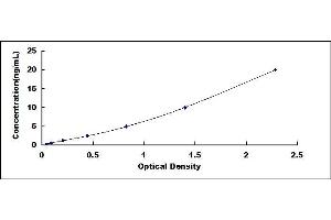 Typical standard curve (HSP70 1A ELISA 试剂盒)