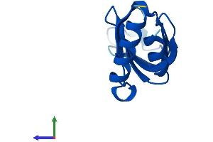 AlphaFold protein structure predicition of Human Recombinant LSM2 Protein, UniprotID Q9Y333