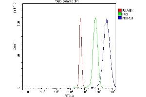 Flow Cytometry analysis of U251 cells using anti-NOP58 antibody (ABIN7601224).