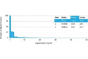 Analysis of Protein Array containing more than 19,000 full-length human proteins using PD-L2 Mouse Monoclonal Antibody (PDL2/2676) Z- and S- Score: The Z-score represents the strength of a signal that a monoclonal antibody (MAb) (in combination with a fluorescently-tagged anti-IgG secondary antibody) produces when binding to a particular protein on the HuProtTM array. (PDCD1LG2 抗体  (AA 27-220))